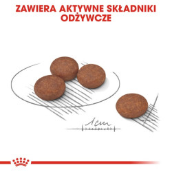 Royal Canin Mini Digestive Care karma sucha dla psów dorosłych, ras małych o wrażliwym przewodzie pokarmowym 3kg - All4Animals