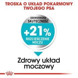 Royal Canin Mini Urinary Care karma sucha dla psów dorosłych, ras małych, ochrona dolnych dróg moczowych 1kg - All4Animals