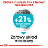 Royal Canin Mini Urinary Care karma sucha dla psów dorosłych, ras małych, ochrona dolnych dróg moczowych 1kg - All4Animals