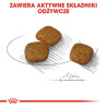 Royal Canin Mini Urinary Care karma sucha dla psów dorosłych, ras małych, ochrona dolnych dróg moczowych 1kg - All4Animals