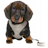 Trixie Szelki ze smyczą Junior 26-34cm jasnoszare - All4Animals