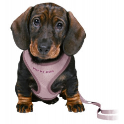 Trixie Szelki ze smyczą Junior 26-34cm liliowe - All4Animals