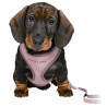 Trixie Szelki ze smyczą Junior 26-34cm liliowe - All4Animals