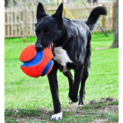 Chuckit! Kick Fetch Large - All4Animals