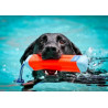 Chuckit! Amphibious Bumper Medium - All4Animals