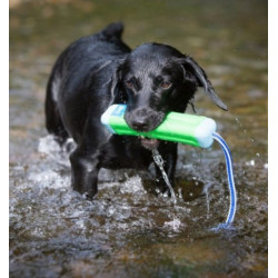 Chuckit! Amphibious Bumper Medium - All4Animals