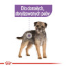 Royal Canin Sterilised karma mokra dla psów dorosłych, wszystkich ras po sterylizacji, pasztet saszetka 85g - All4Animals