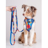 CHABA Smycz regulowana Story III M 20mm/260cm Aussie - All4Animals