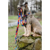 CHABA Smycz regulowana Story III M 20mm/260cm Aussie - All4Animals