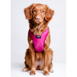 CHABA Szelki Guard Comfort Classic L fuksja - All4Animals