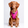 CHABA Szelki Guard Comfort Classic L fuksja - All4Animals