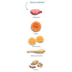 Amanova Dog Adult Sensitive Delicious Lamb - jagnięcina 2kg - All4Animals