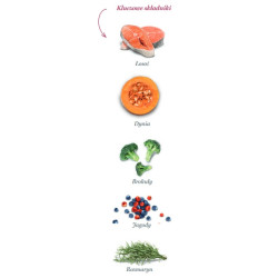 Amanova Dog Adult Mini Sensitive Salmon Deluxe - łosoś 2kg - All4Animals