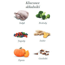 Amanova Dog Adult Turkey Delight - indyk saszetka 100g - All4Animals