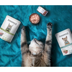 Amanova Cat Brilliant Beef & Chicken - wołowina i kurczak saszetka 85g - All4Animals