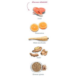 Amanova Cat Adult Salmon Deluxe - łosoś 6kg - All4Animals