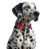 Collar WauDog Nylon Mono Obroża nylonowa odblaskowa z QR-paszportem, plastikowy fastex, S 15mm/25-35cm różowa - All4Animals