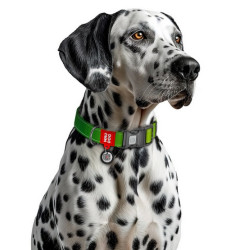 Collar WauDog Nylon Mono Obroża nylonowa odblaskowa z QR-paszportem, plastikowy fastex, M 20mm/28-40cm jasnozielona - All4Animal