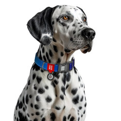 Collar WauDog Nylon Mono Obroża nylonowa odblaskowa z QR-paszportem, plastikowy fastex, L 25mm/33-49cm niebieska - All4Animals