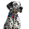Collar WauDog Nylon Mono Obroża nylonowa odblaskowa z QR-paszportem, plastikowy fastex, L 25mm/33-49cm niebieska - All4Animals