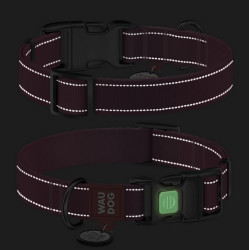 Collar WauDog Nylon Mono Obroża nylonowa odblaskowa z QR-paszportem, plastikowy fastex, L 25mm/33-49cm niebieska - All4Animals