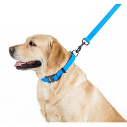 Collar Waterproof Smycz wodoodporna L-XXL 25mm/183cm niebieska - All4Animals