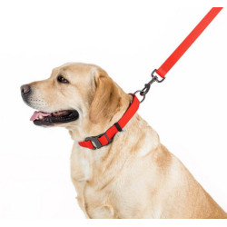 Collar Waterproof Smycz wodoodporna M 20mm/183cm czerwona - All4Animals