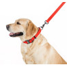 Collar Waterproof Smycz wodoodporna M 20mm/183cm czerwona - All4Animals