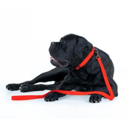 Collar Waterproof Smycz wodoodporna M 20mm/183cm czerwona - All4Animals