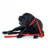 Collar Waterproof Smycz wodoodporna M 20mm/183cm czerwona - All4Animals