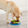Nina Ottosson Lickin Layers - gra edukacyjna - All4Animals