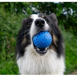 Kiwi Walker Let's Play Ball Maxi piłka niebieska - All4Animals