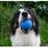 Kiwi Walker Let's Play Ball Maxi piłka niebieska - All4Animals