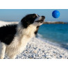 Kiwi Walker Let's Play Ball Maxi piłka niebieska - All4Animals