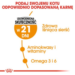 Royal Canin Hair&Skin Care karma sucha dla kotów dorosłych, lśniąca sierść i zdrowa skóra 2kg - All4Animals