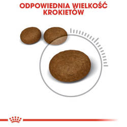 Royal Canin Hair&Skin Care karma sucha dla kotów dorosłych, lśniąca sierść i zdrowa skóra 2kg - All4Animals