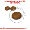 Royal Canin Hair&Skin Care karma sucha dla kotów dorosłych, lśniąca sierść i zdrowa skóra 2kg - All4Animals