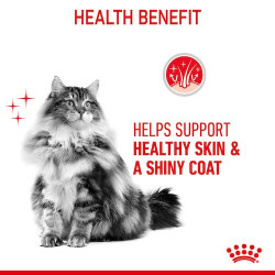 Royal Canin Hair&Skin Care karma sucha dla kotów dorosłych, lśniąca sierść i zdrowa skóra 2kg - All4Animals