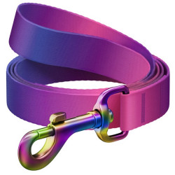 Collar WauDog Recycled Smycz nylonowa, gradient M 20mm/122cm fioletowy - All4Animals