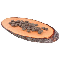 Carnilove Dog True Fresh Beef Adult - wołowina 11,4kg - All4Animals