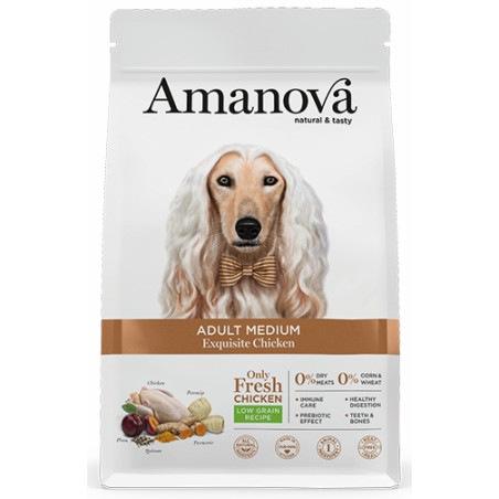 Amanova Dog Adult Medium Exquisite Chicken - kurczak 12kg - All4Animals