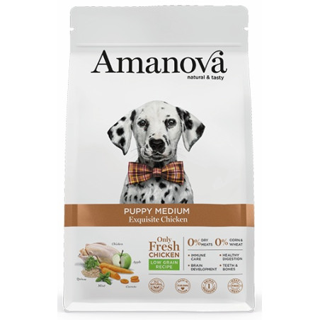 Amanova Dog Puppy Medium Exquisite Chicken - kurczak 12kg - All4Animals