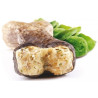 Pawerce Salmon Bone Medium Breeds 1szt 55g/12cm - All4Animals