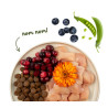 Sanabelle Adult Grande 2kg - All4Animals