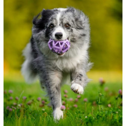 Toby's Choice Spiderweb Ball Medium - All4Animals