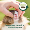 Beaphar Care+ Nature Królik 1,5kg - All4Animals