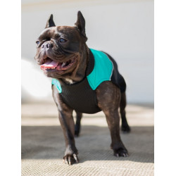 Chaba Ubranko regulowane Wear Magnifique 3XL zielone - All4Animals