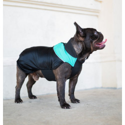 Chaba Ubranko regulowane Wear Magnifique 3XL zielone - All4Animals
