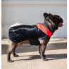 Chaba Ubranko regulowane Wear Magnifique XL czerwone - All4Animals
