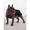Chaba Ubranko regulowane Wear Magnifique 2XL czerwone - All4Animals